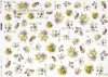 flores, clematis, pensamientos, flores de campo, pequeños elementos*Blumen, Clematis, Stiefmütterchen, Feldblumen, kleine Elemente*цветы, клематис, анютины глазки, полевые цветы, маленькие элементы